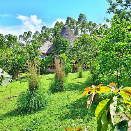 Chimpanzee Capital Safari Lodge Bigodi المظهر الخارجي الصورة