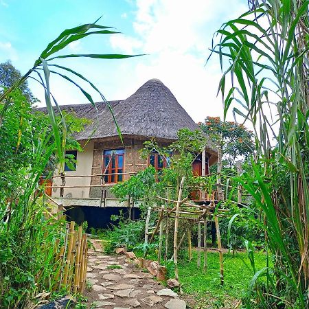 Chimpanzee Capital Safari Lodge Bigodi المظهر الخارجي الصورة