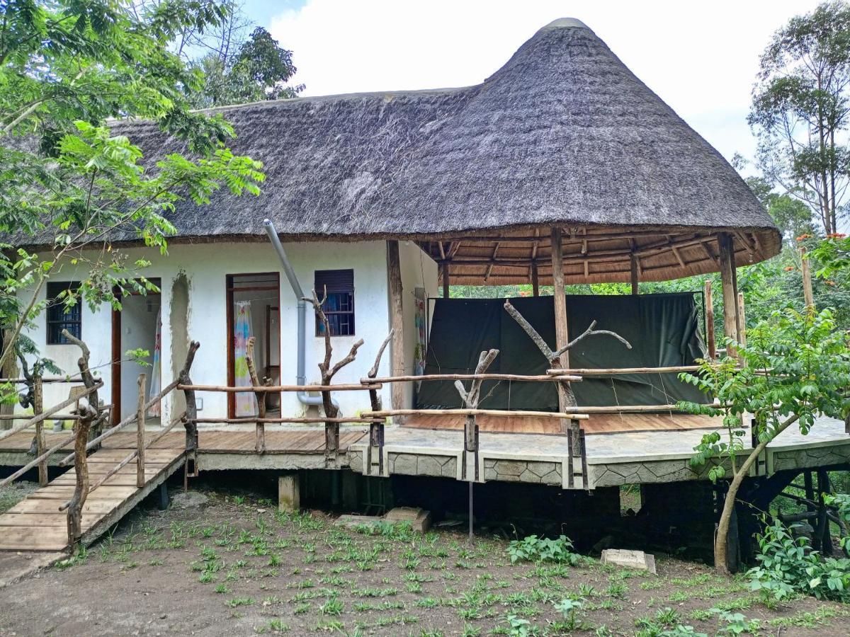 Chimpanzee Capital Safari Lodge Bigodi المظهر الخارجي الصورة