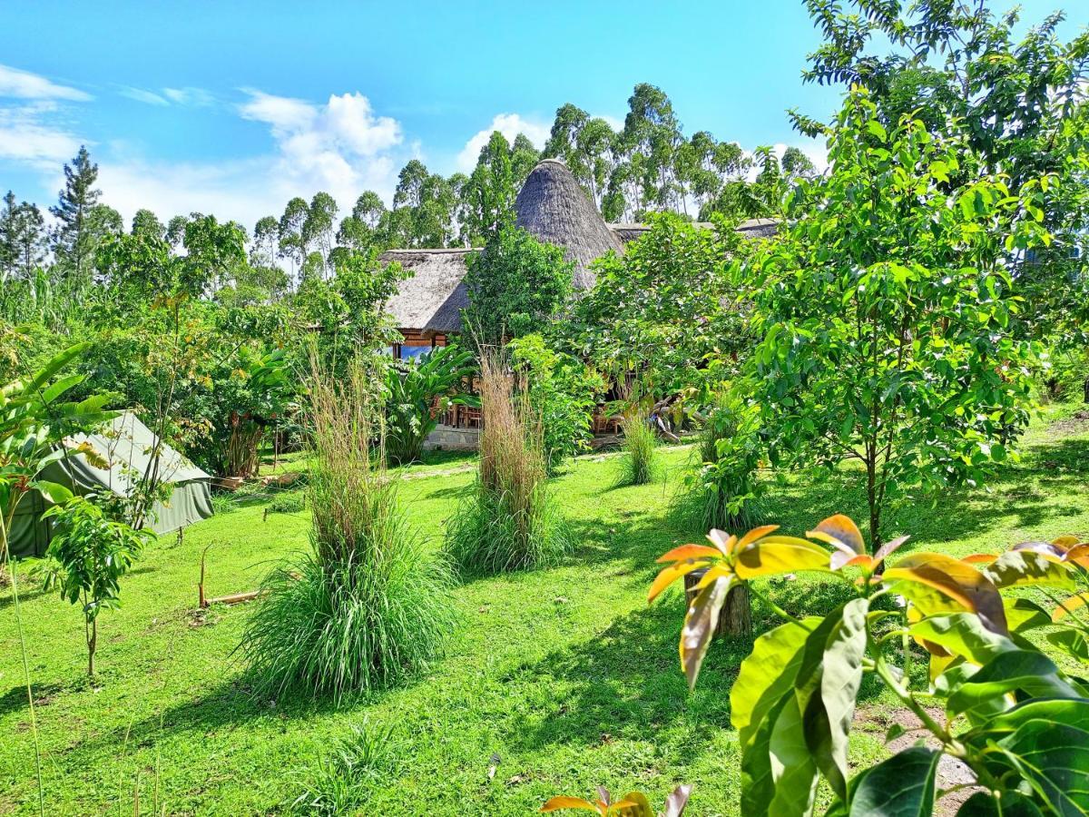 Chimpanzee Capital Safari Lodge Bigodi المظهر الخارجي الصورة