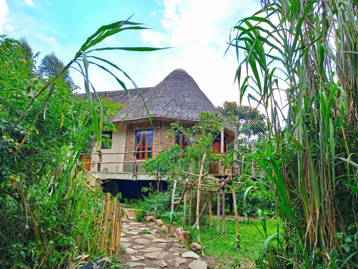 Chimpanzee Capital Safari Lodge Bigodi المظهر الخارجي الصورة
