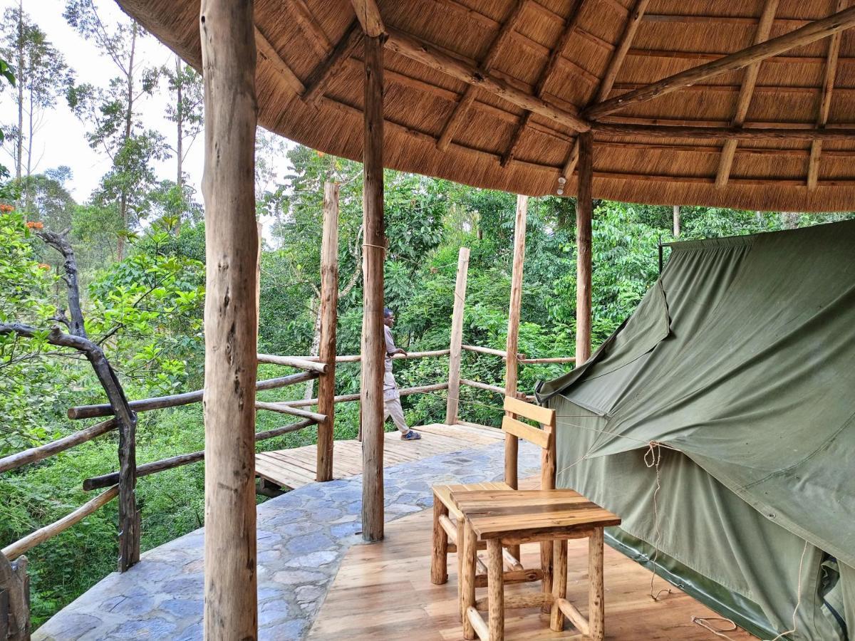 Chimpanzee Capital Safari Lodge Bigodi المظهر الخارجي الصورة