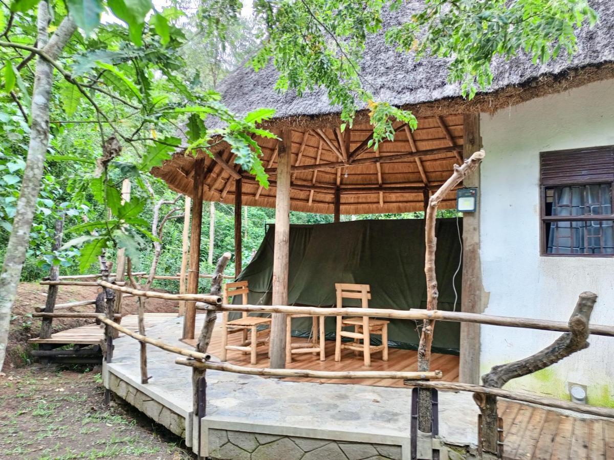 Chimpanzee Capital Safari Lodge Bigodi المظهر الخارجي الصورة