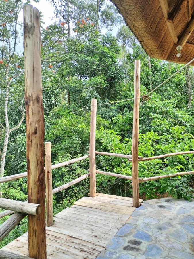 Chimpanzee Capital Safari Lodge Bigodi المظهر الخارجي الصورة