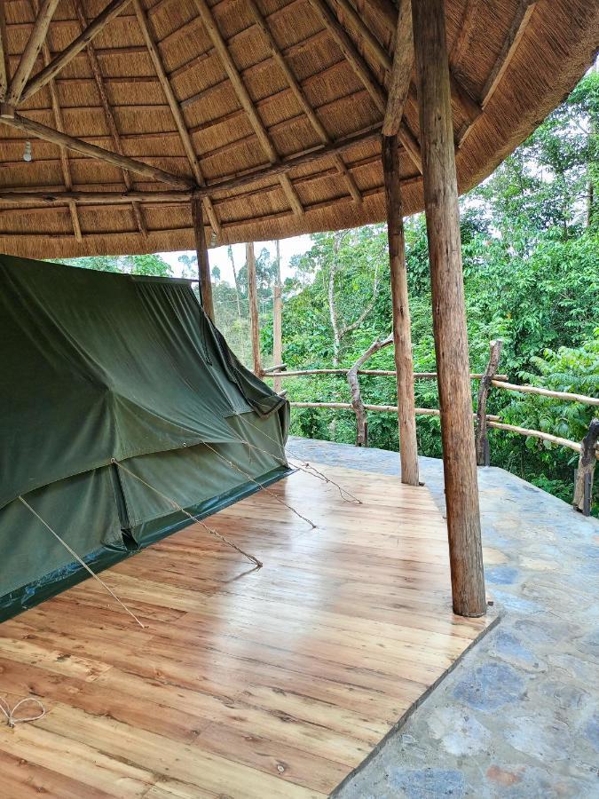 Chimpanzee Capital Safari Lodge Bigodi المظهر الخارجي الصورة