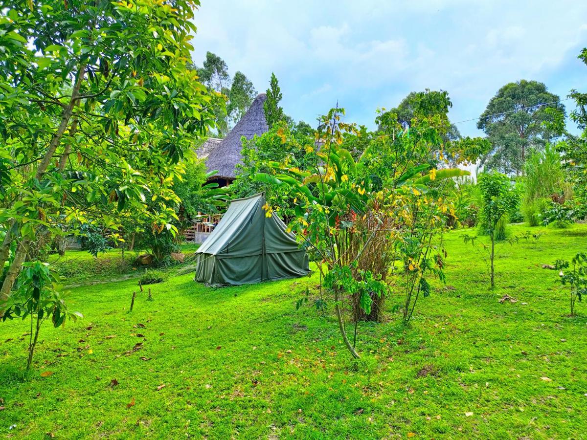 Chimpanzee Capital Safari Lodge Bigodi المظهر الخارجي الصورة