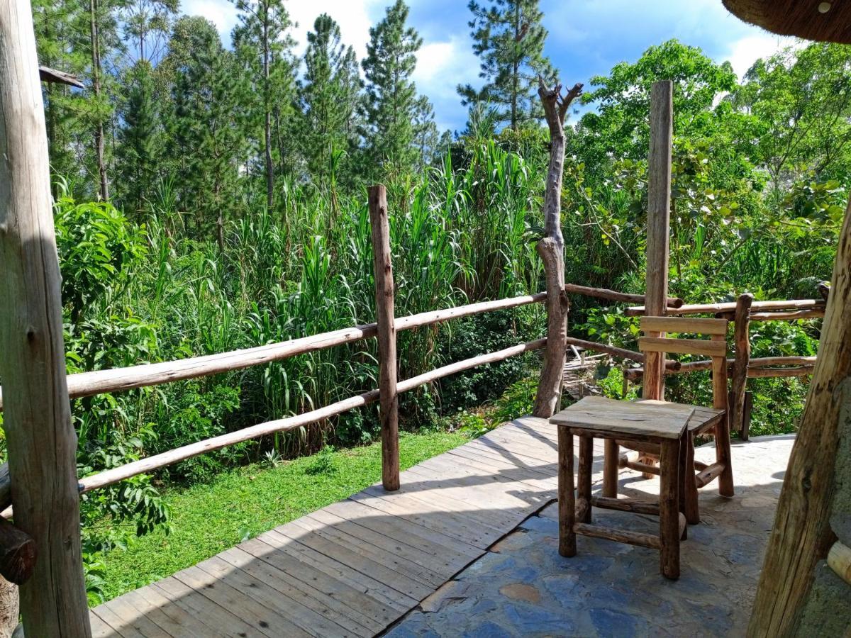 Chimpanzee Capital Safari Lodge Bigodi المظهر الخارجي الصورة