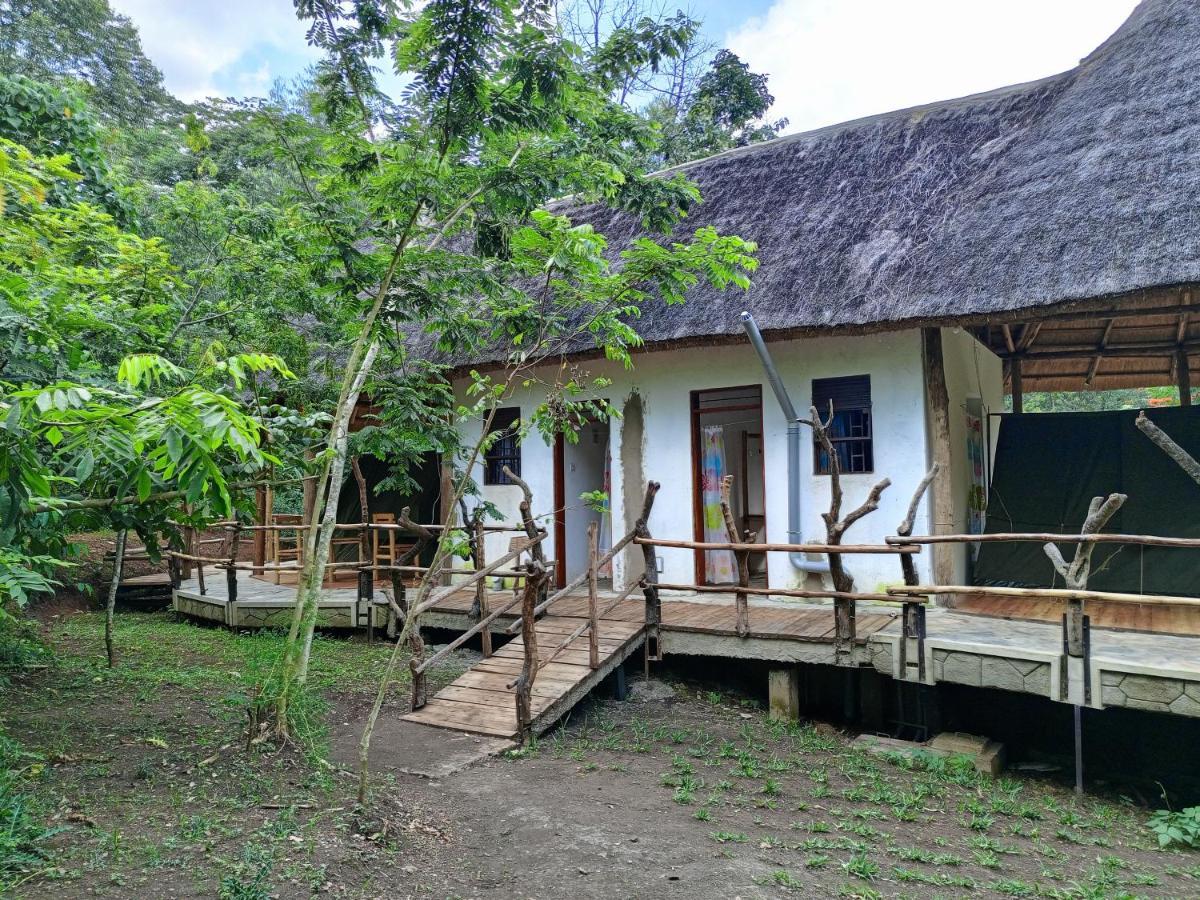 Chimpanzee Capital Safari Lodge Bigodi المظهر الخارجي الصورة