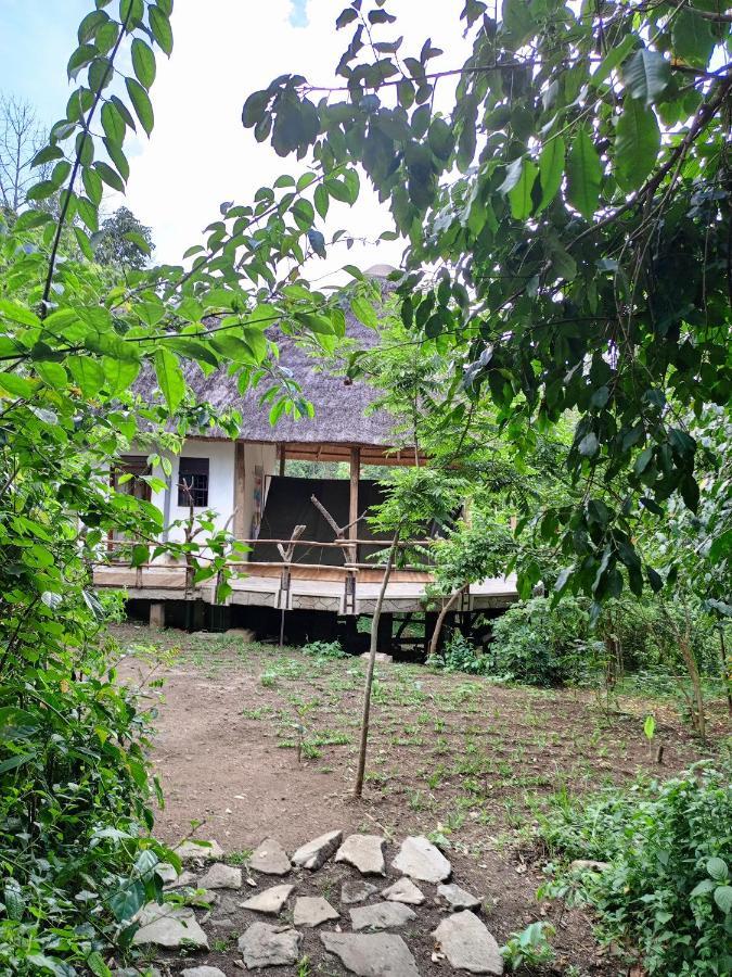 Chimpanzee Capital Safari Lodge Bigodi المظهر الخارجي الصورة