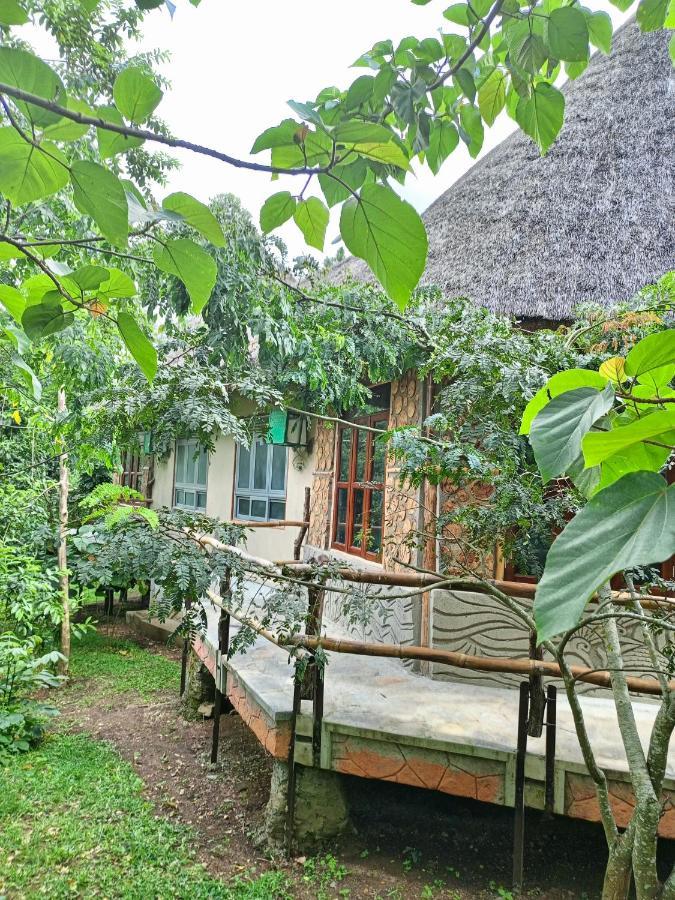 Chimpanzee Capital Safari Lodge Bigodi المظهر الخارجي الصورة