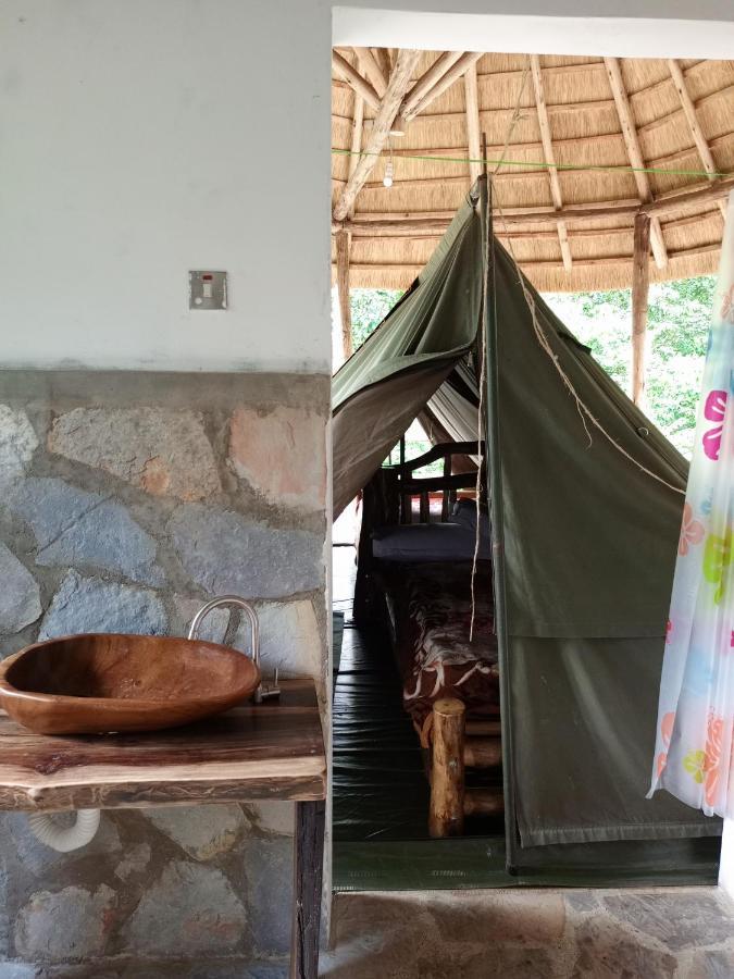 Chimpanzee Capital Safari Lodge Bigodi المظهر الخارجي الصورة