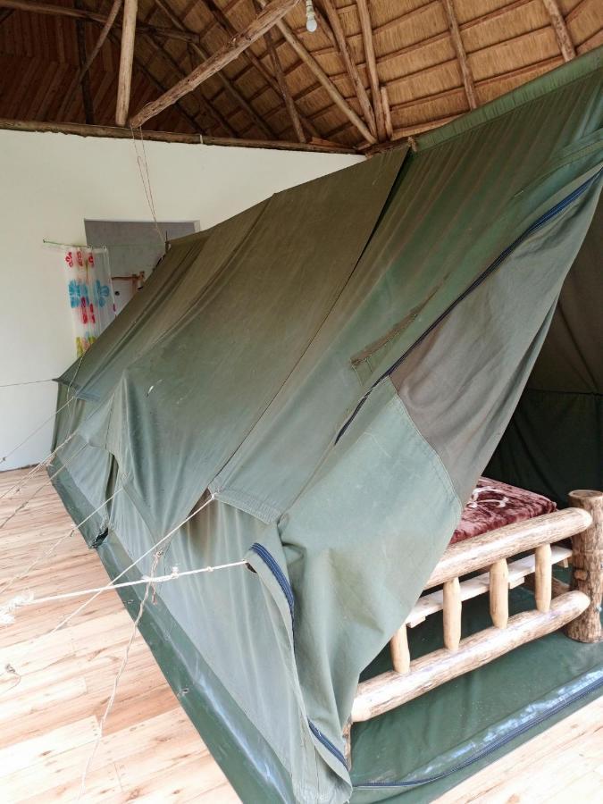 Chimpanzee Capital Safari Lodge Bigodi المظهر الخارجي الصورة