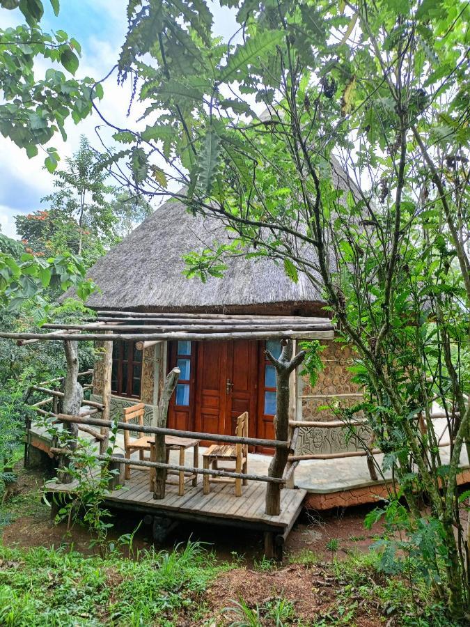 Chimpanzee Capital Safari Lodge Bigodi المظهر الخارجي الصورة