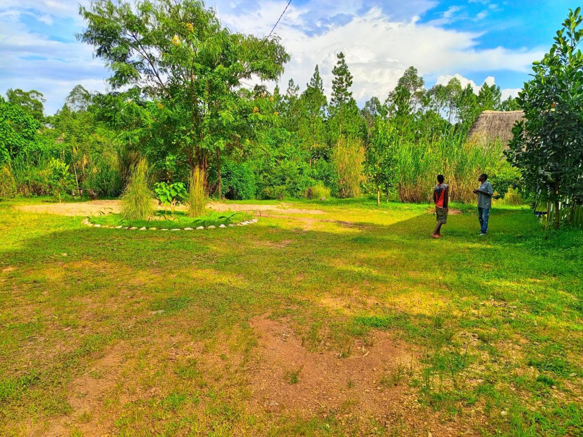 Chimpanzee Capital Safari Lodge Bigodi المظهر الخارجي الصورة